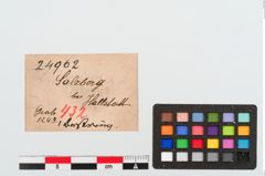 Etiketten zu Bersteinringperle (NHMW-PRAE-024962)